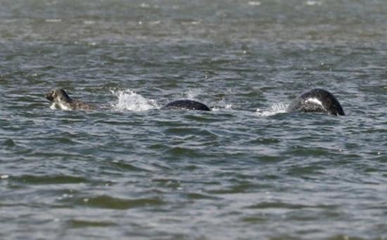 Photo de ian bremner au loch ness 16 sept 2016 crypto investigations