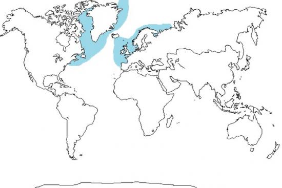 Repartition requin du groenland ou laimargue crypto investigations