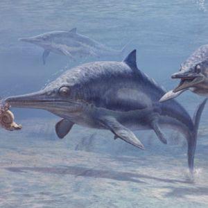 un-ichtyosaure-dans-le-lac-labynkyr-en-russie.jpg